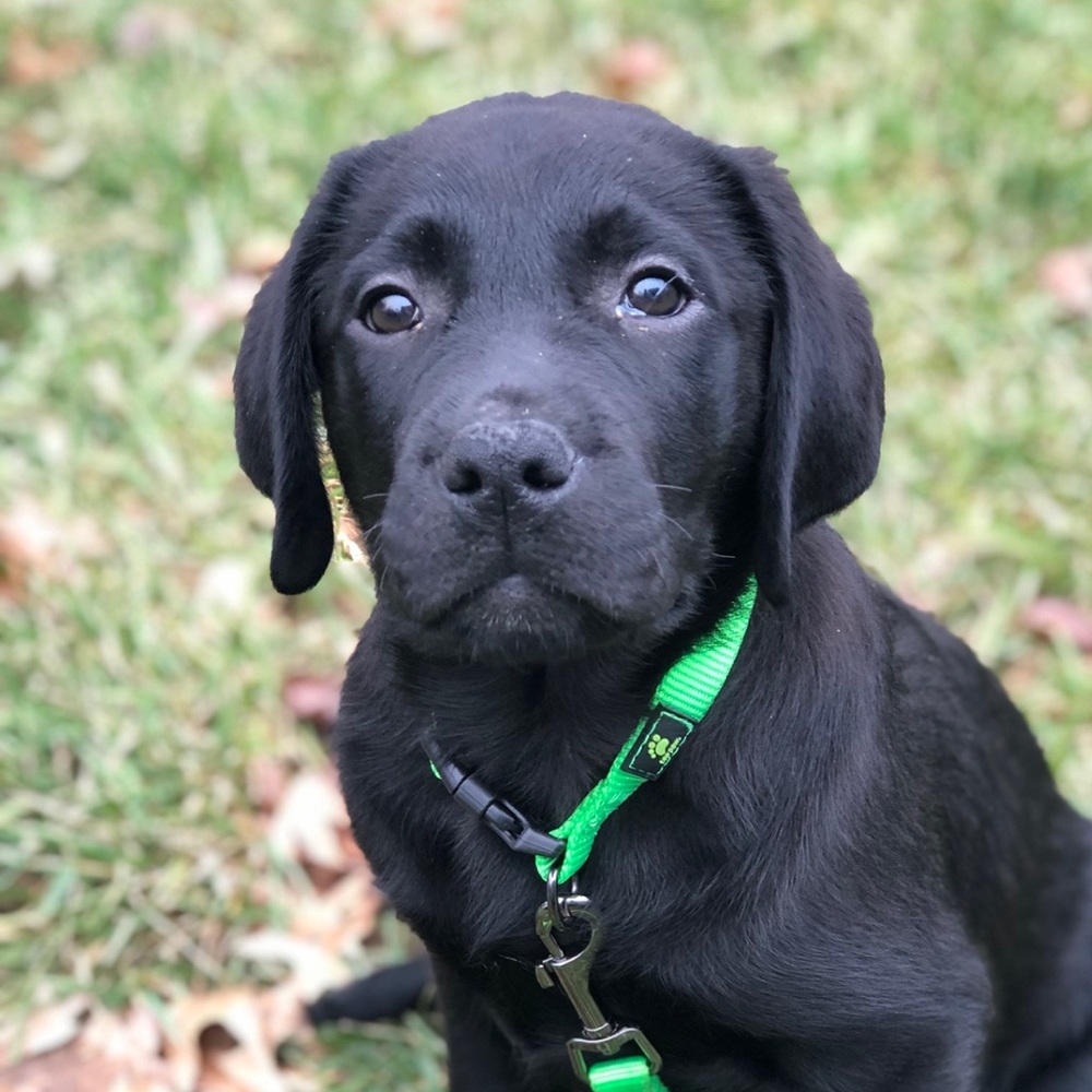 Meet your Posher, Maria